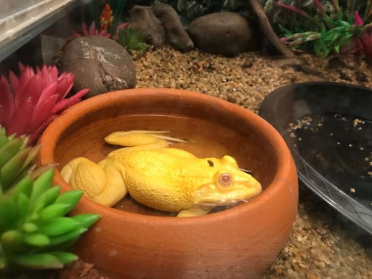 Underwater World Pattaya_2